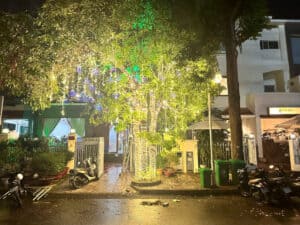 TP thi công led cây xanh