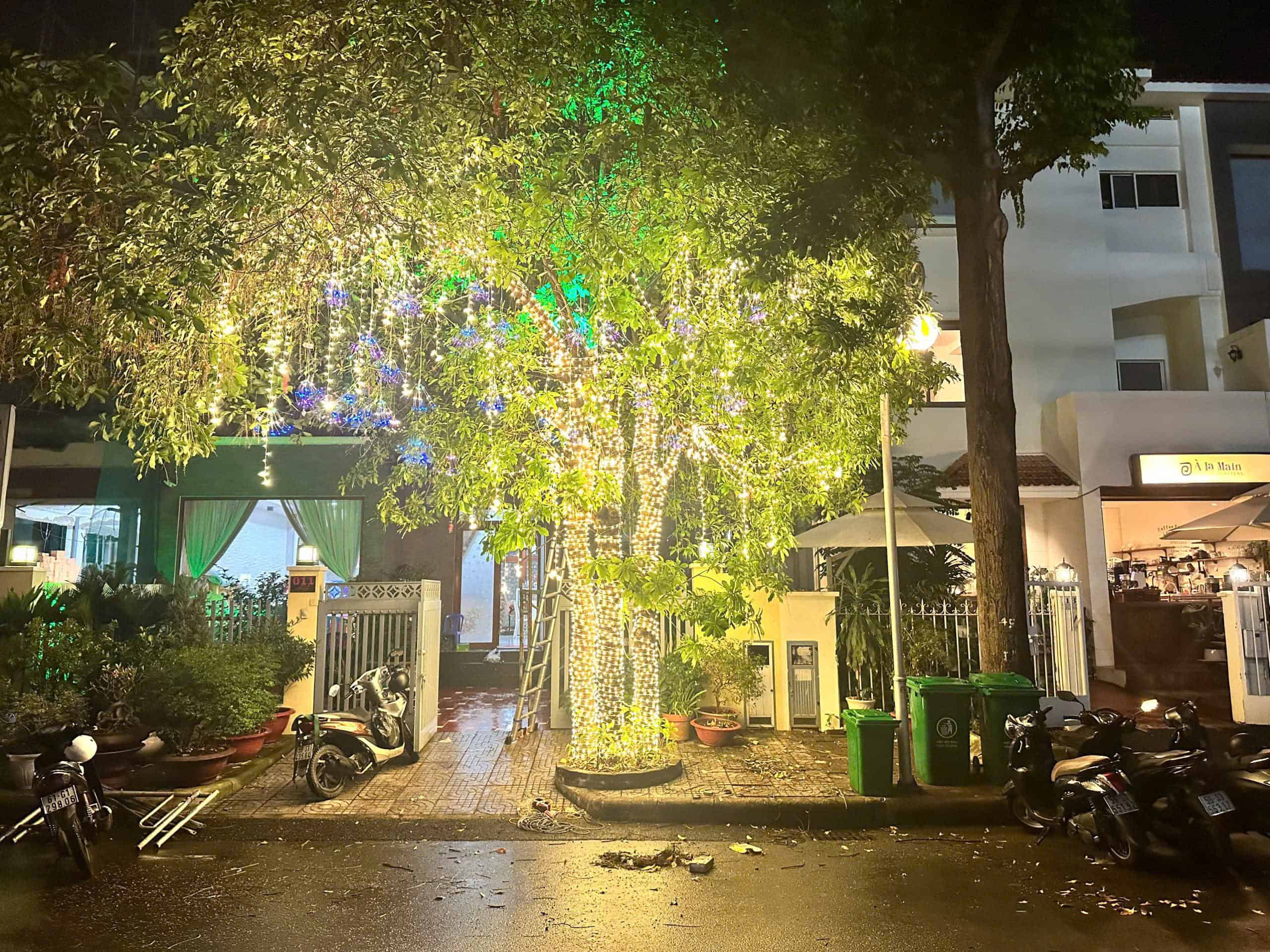 TP thi công led cây xanh