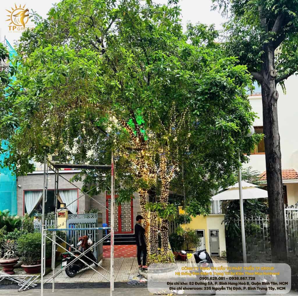 z7158790005969 623b765b82adc913d62581abaee71f0d