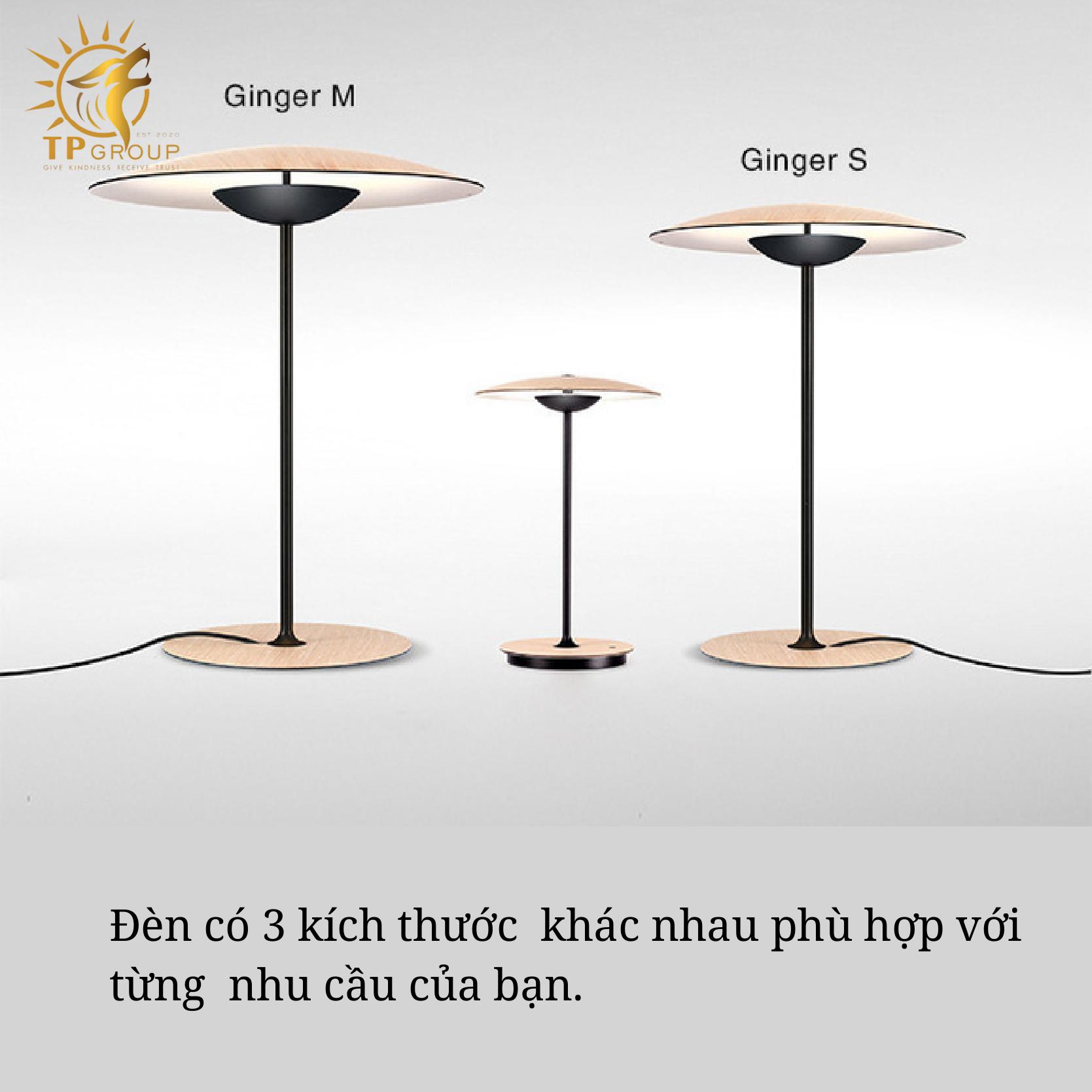 Đèn Bàn Mũ Tre Thiết Kế Hiện Đại Phong Cách Bắc Âu TP_DB581 16 Đèn Bàn Mũ Tre Thiết Kế Hiện Đại Phong Cách Bắc Âu TP_DB581