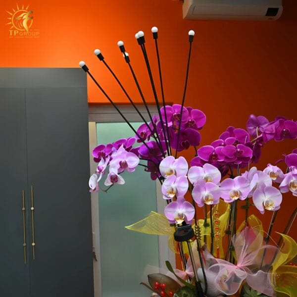 Đèn đom đóm trang trí sân vườn năng lượng mặt trời ZX9027 - Hình ảnh 11