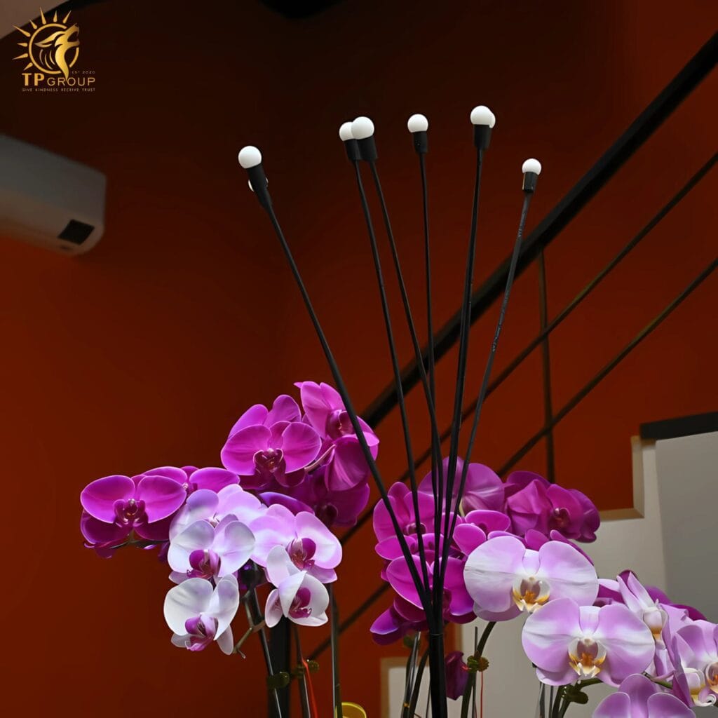 Đèn đom đóm trang trí sân vườn năng lượng mặt trời ZX9027 