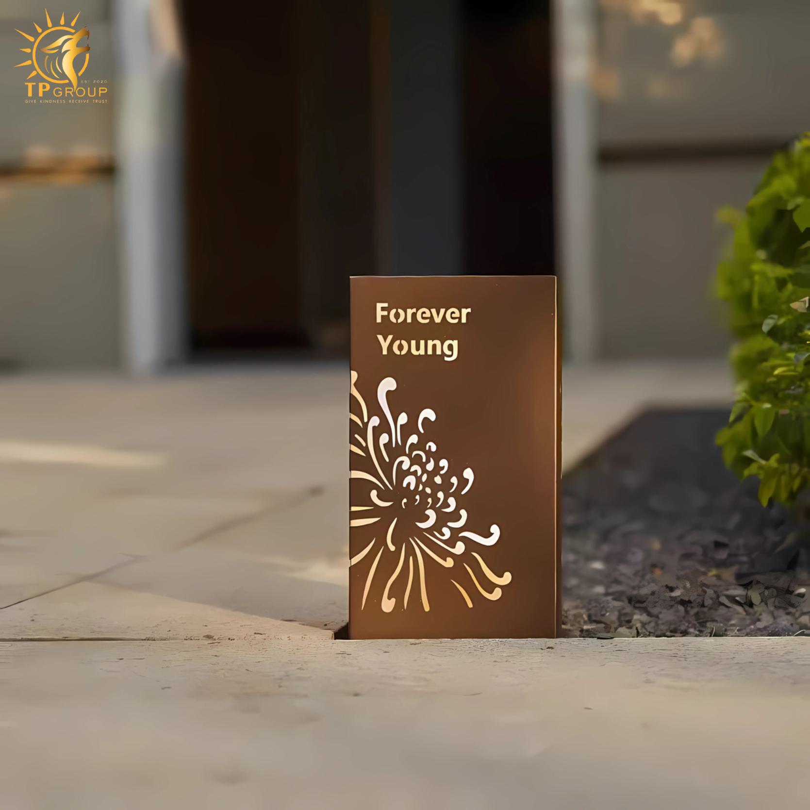 Đèn trang trí sân vườn hoa bỉ ngạn ấn tượng ACM666 2 Đèn trang trí sân vườn hoa bỉ ngạn ấn tượng ACM666 - Hình ảnh 2