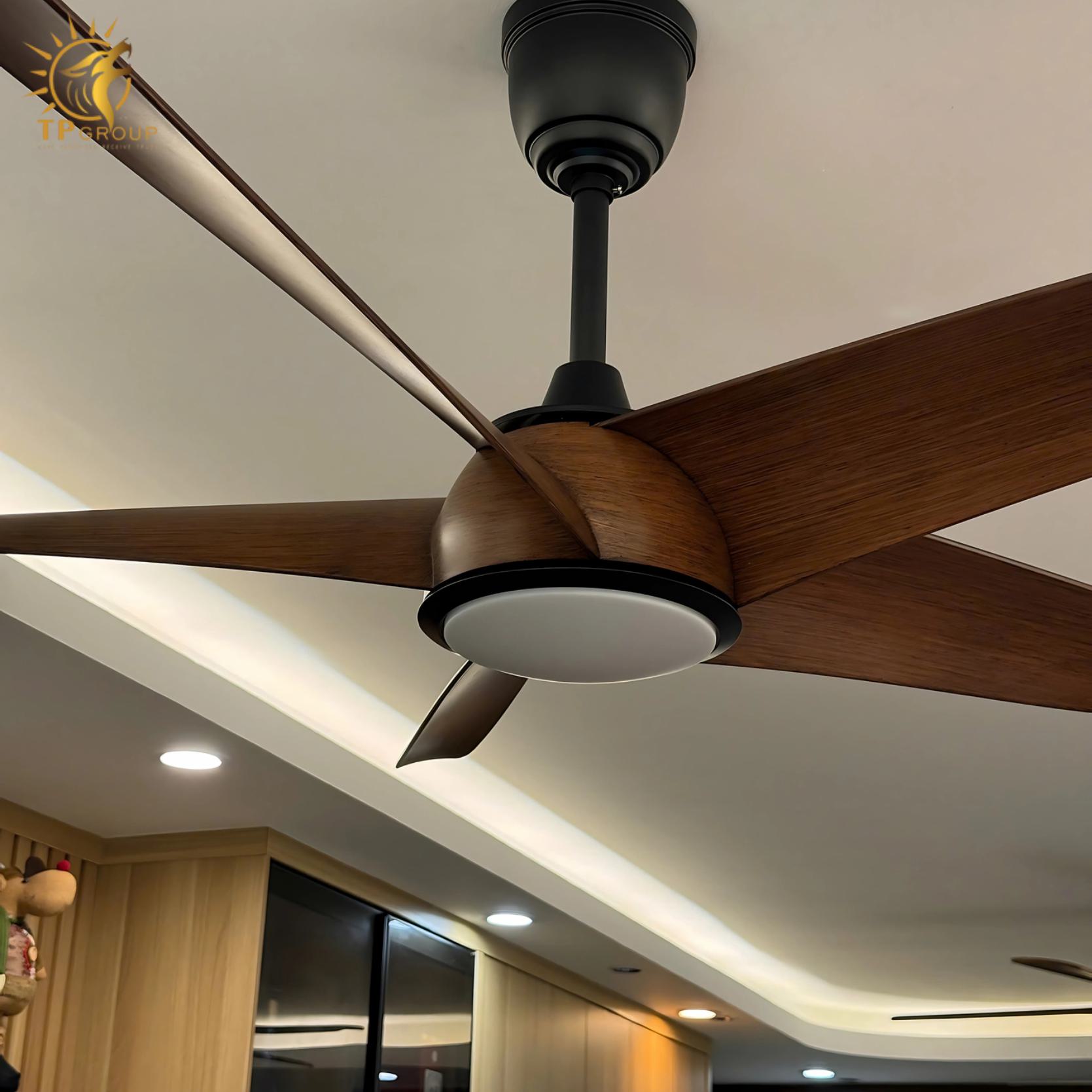 Quạt trần FERGUS 999 13 Quạt trần FERGUS 999