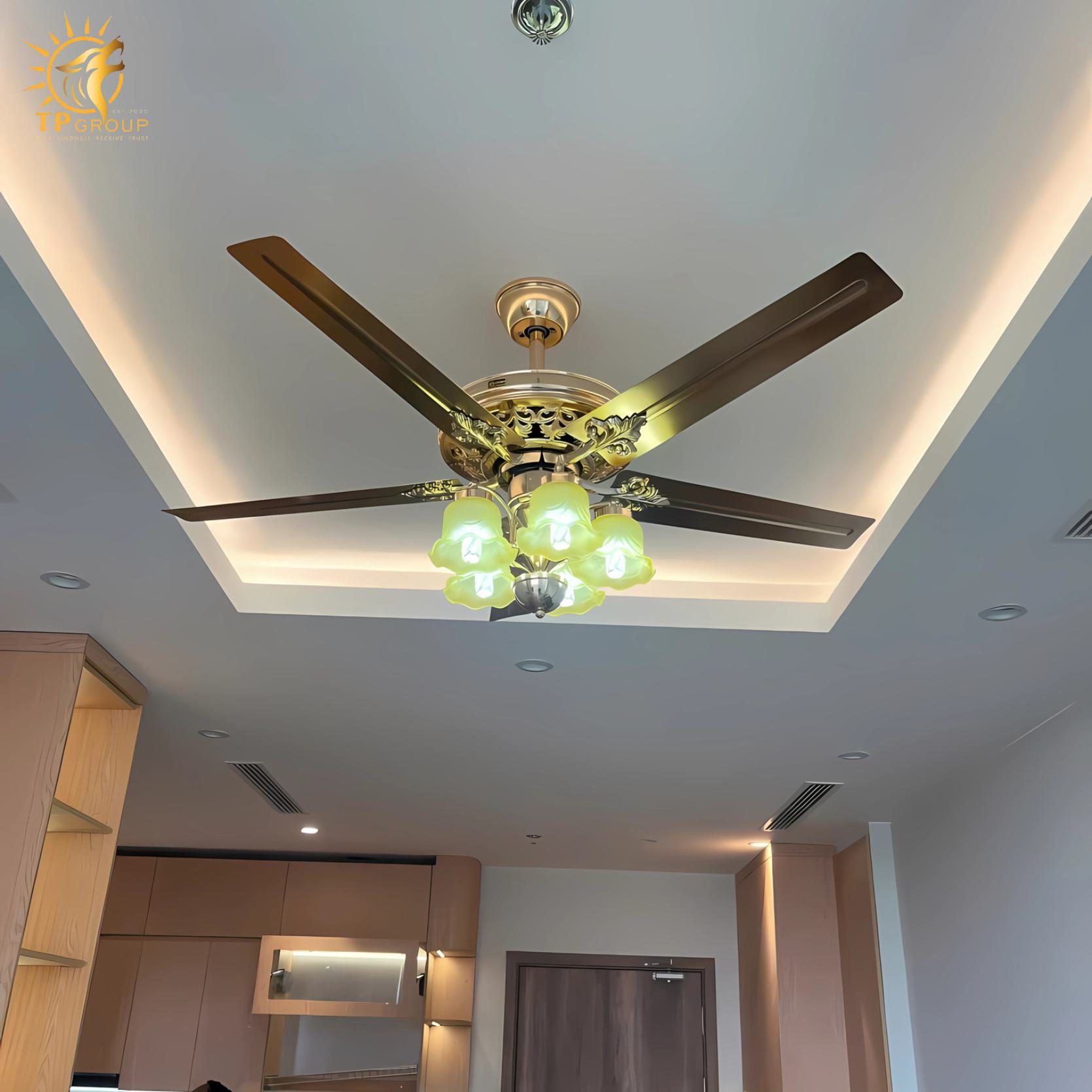 Quạt trần DCT FAN 1301 6 Quạt trần DCT FAN 1301