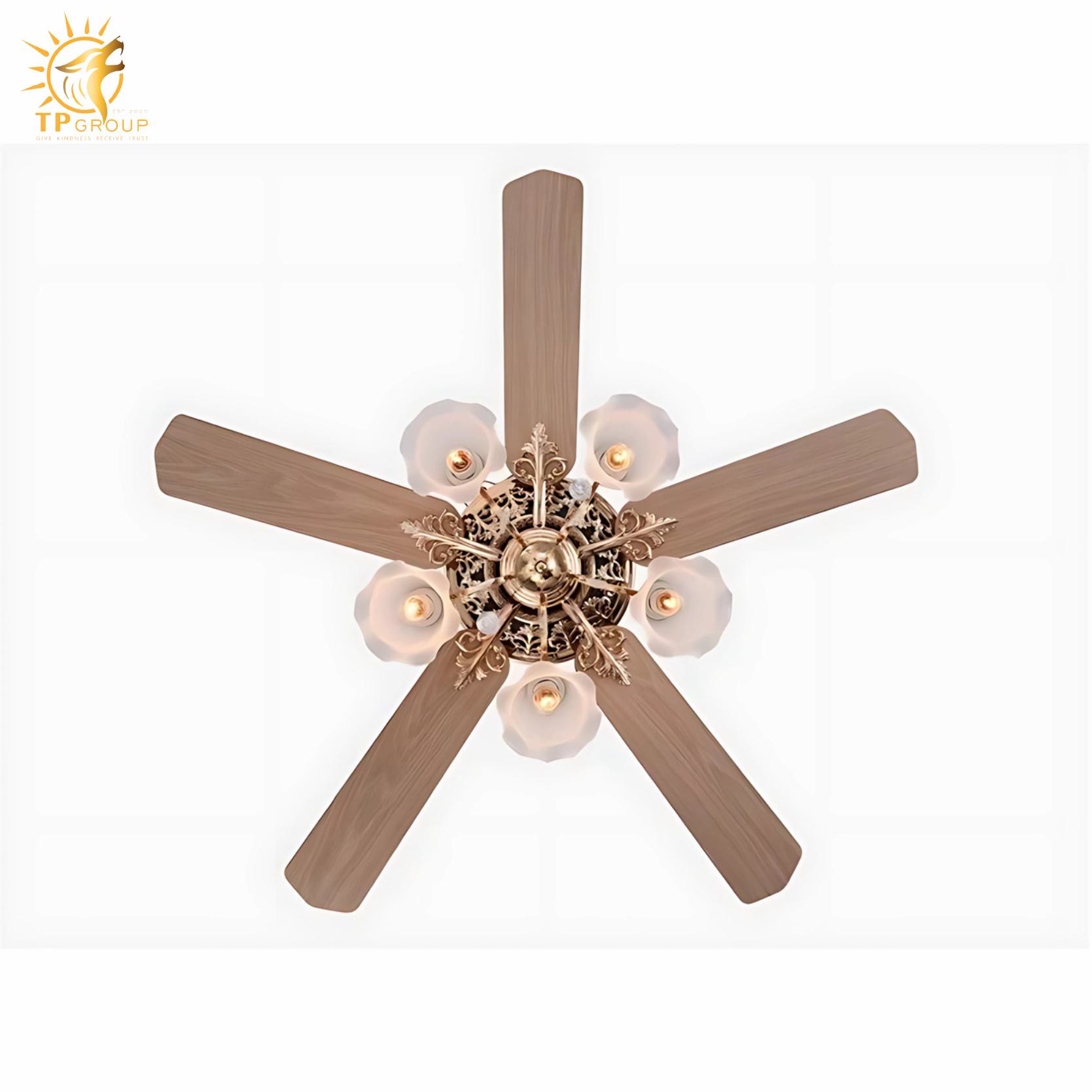 Quạt trần DCT FAN 1301 5 Quạt trần DCT FAN 1301