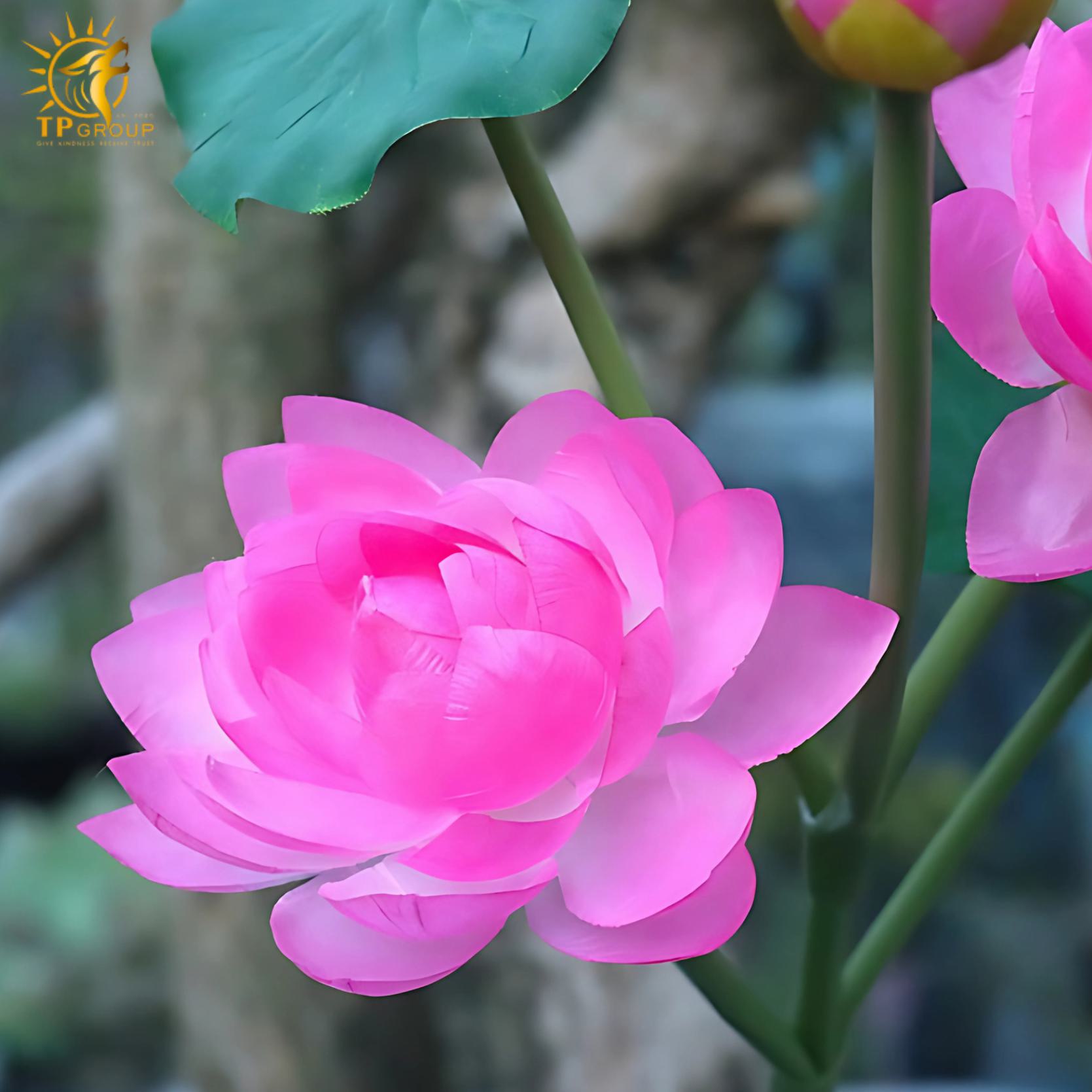 Đèn led ngoài trời hoa sen sáng tạo DZ0484 5 Đèn led ngoài trời hoa sen sáng tạo DZ0484