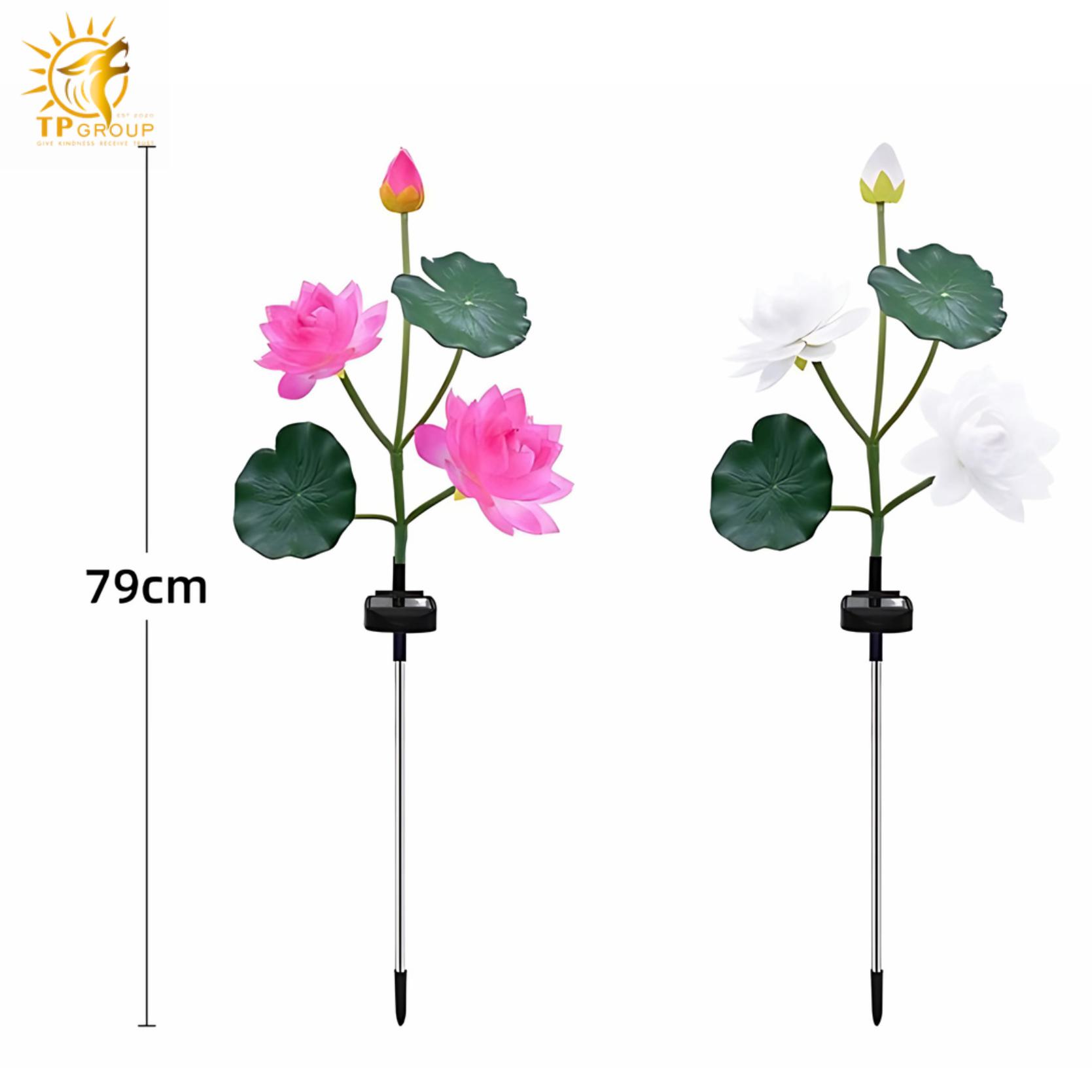 Đèn led ngoài trời hoa sen sáng tạo DZ0484 8 Đèn led ngoài trời hoa sen sáng tạo DZ0484