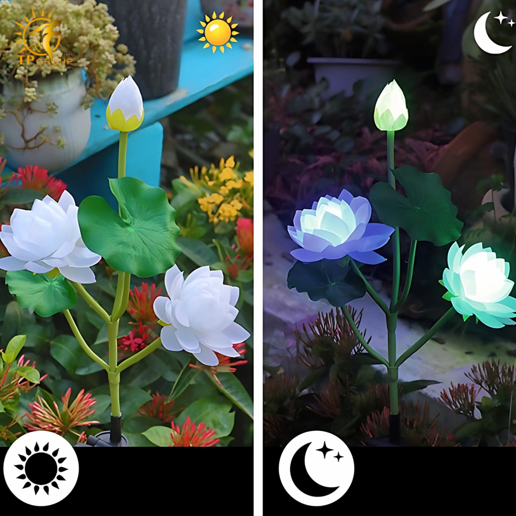 Đèn led ngoài trời hoa sen sáng tạo DZ0484 7 Đèn led ngoài trời hoa sen sáng tạo DZ0484