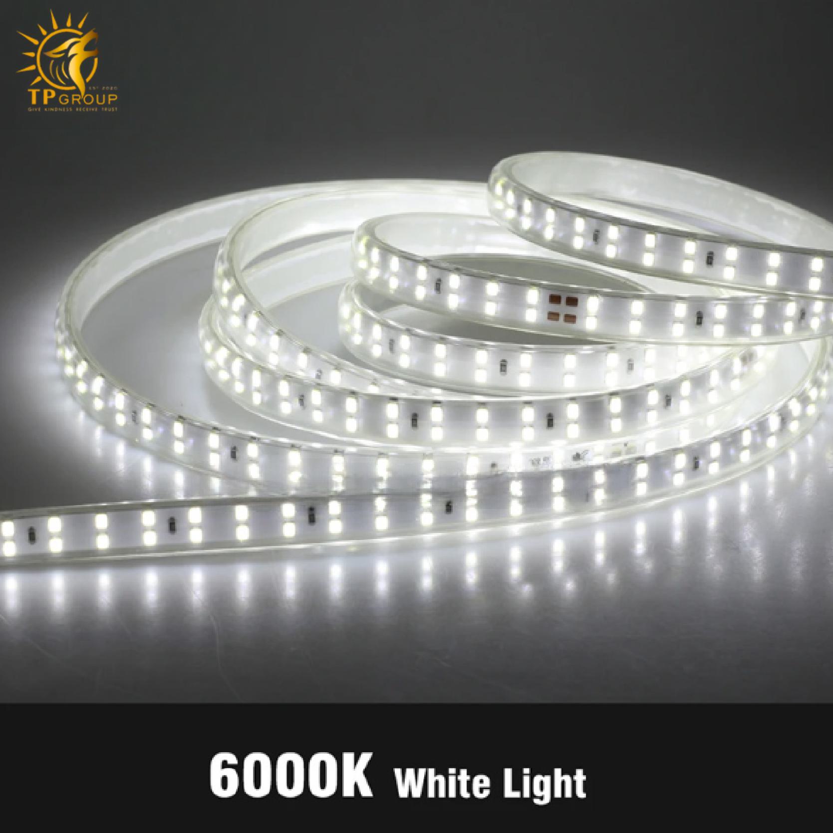 LED cuộn 2835 có keo 100M TPLED001 2 Led cuộn 2835 có keo 100m