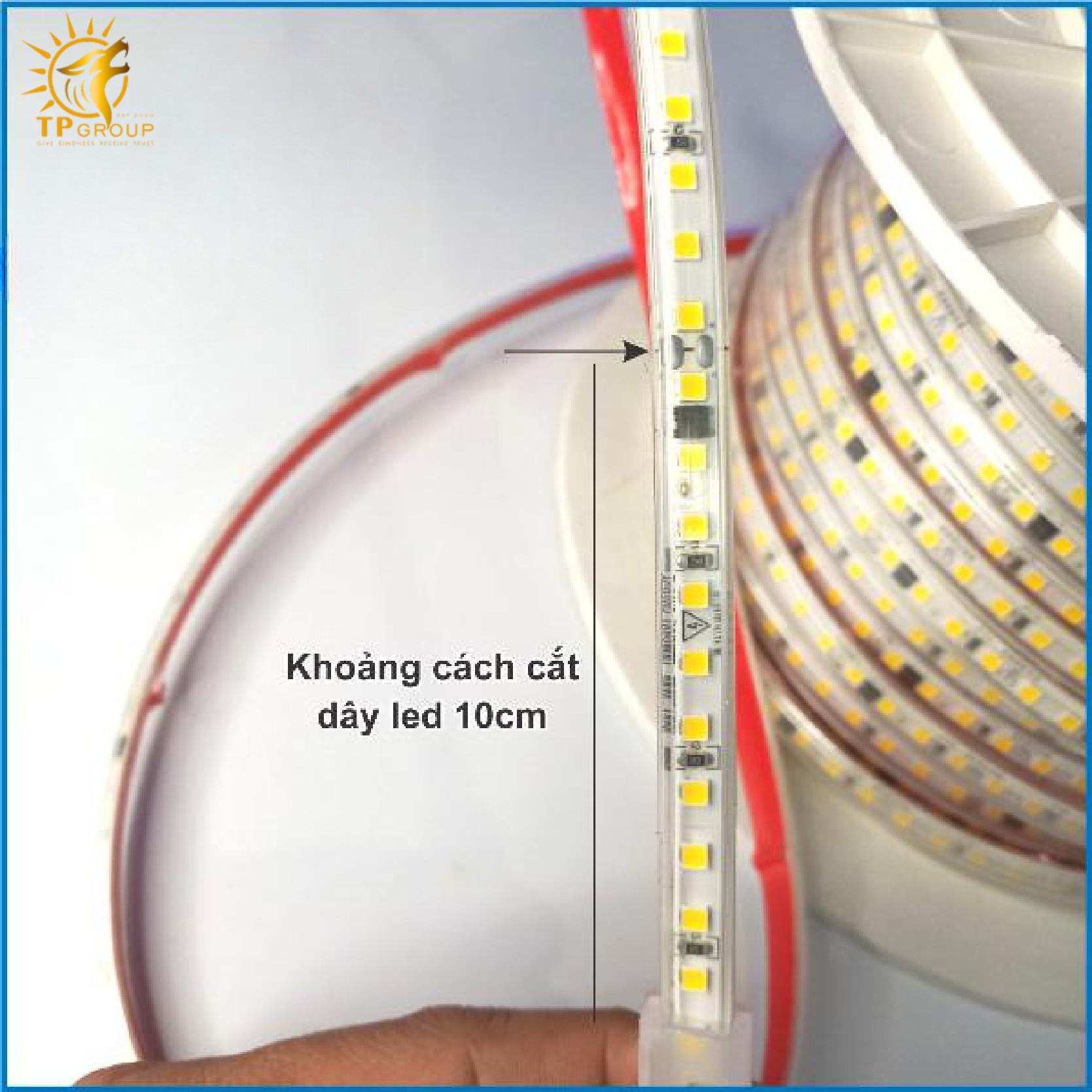 LED cuộn 2835 có keo 100M TPLED001 10 Led cuộn 2835 có keo 100m