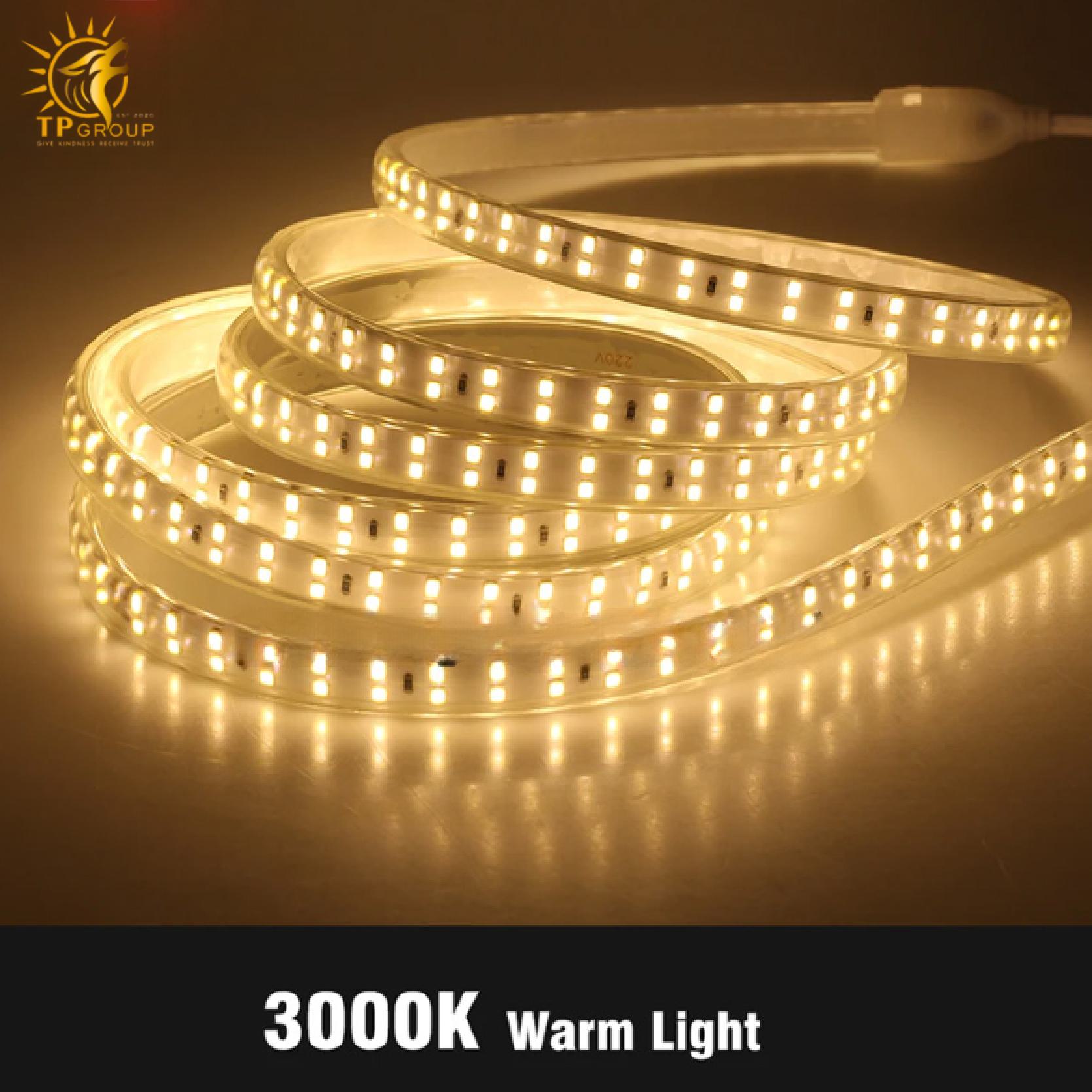 LED cuộn 2835 có keo 100M TPLED001 4 Led cuộn 2835 có keo 100m