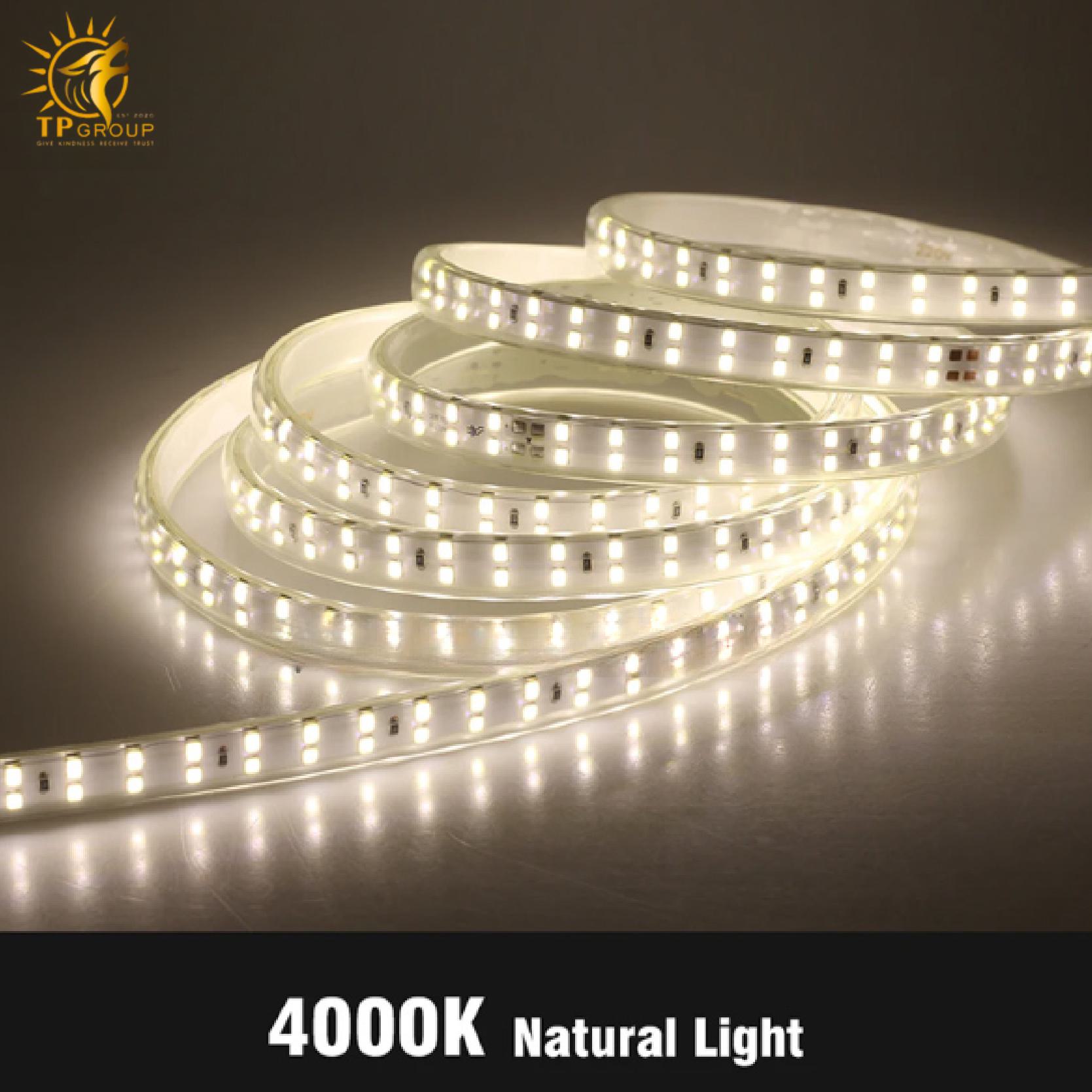 LED cuộn 2835 có keo 100M TPLED001 3 Led cuộn 2835 có keo 100m