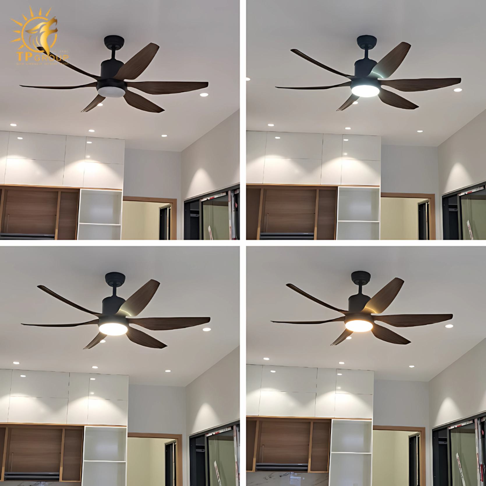 Quạt trần DCT FAN 119 14 Quạt trần DCT FAN 119