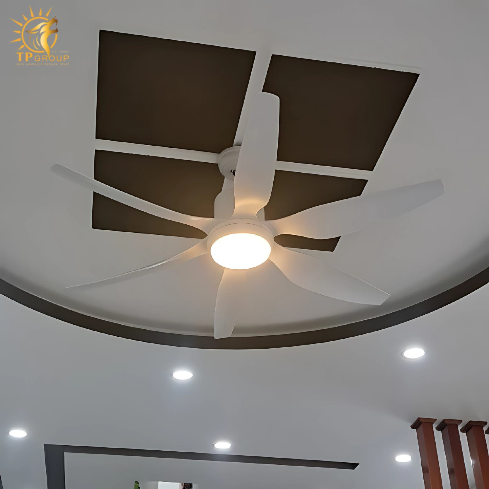 Quạt trần DCT FAN 119 7 Quạt trần DCT FAN 119