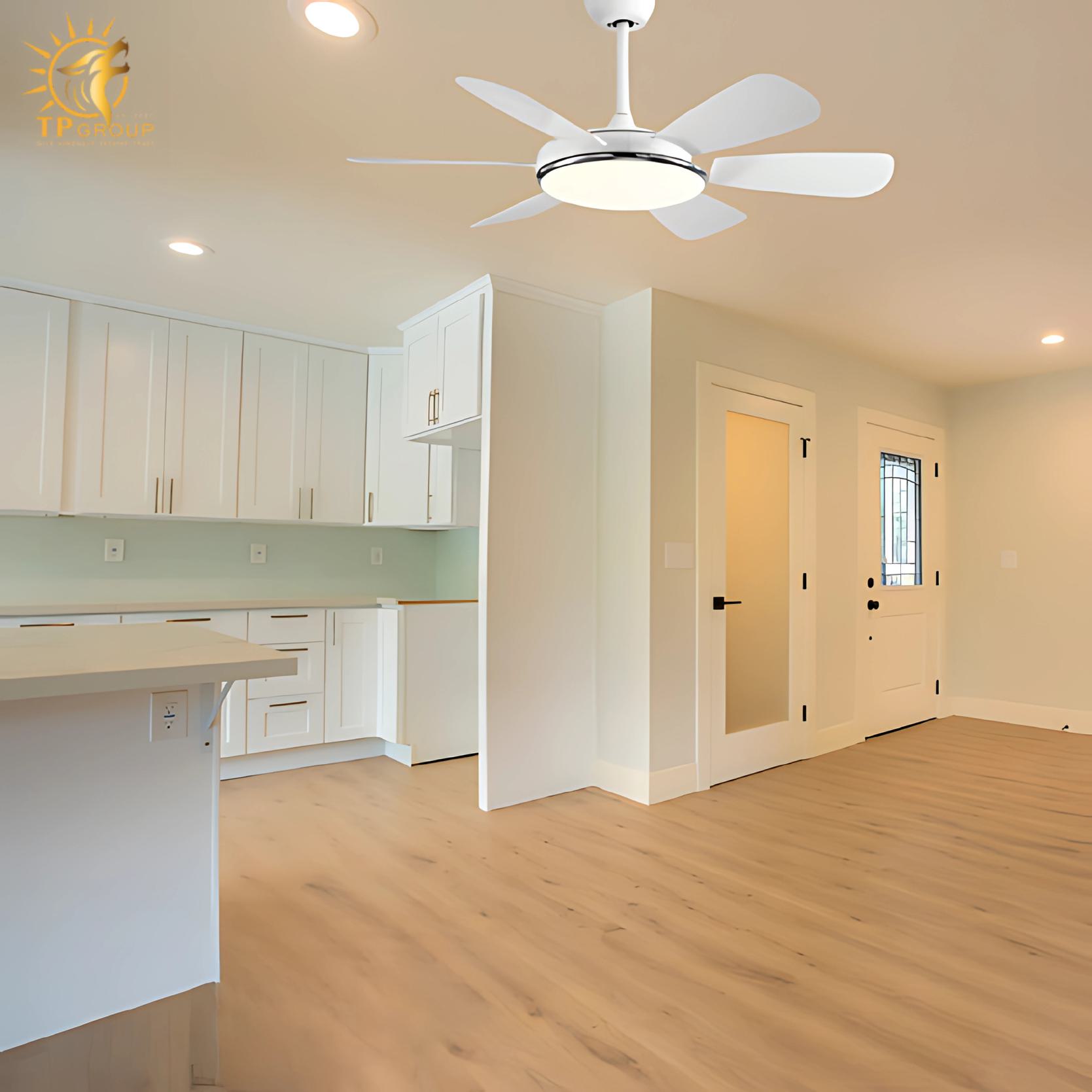 Quạt trần mini DCT FAN 213 5 Quạt trần DCT FAN 213