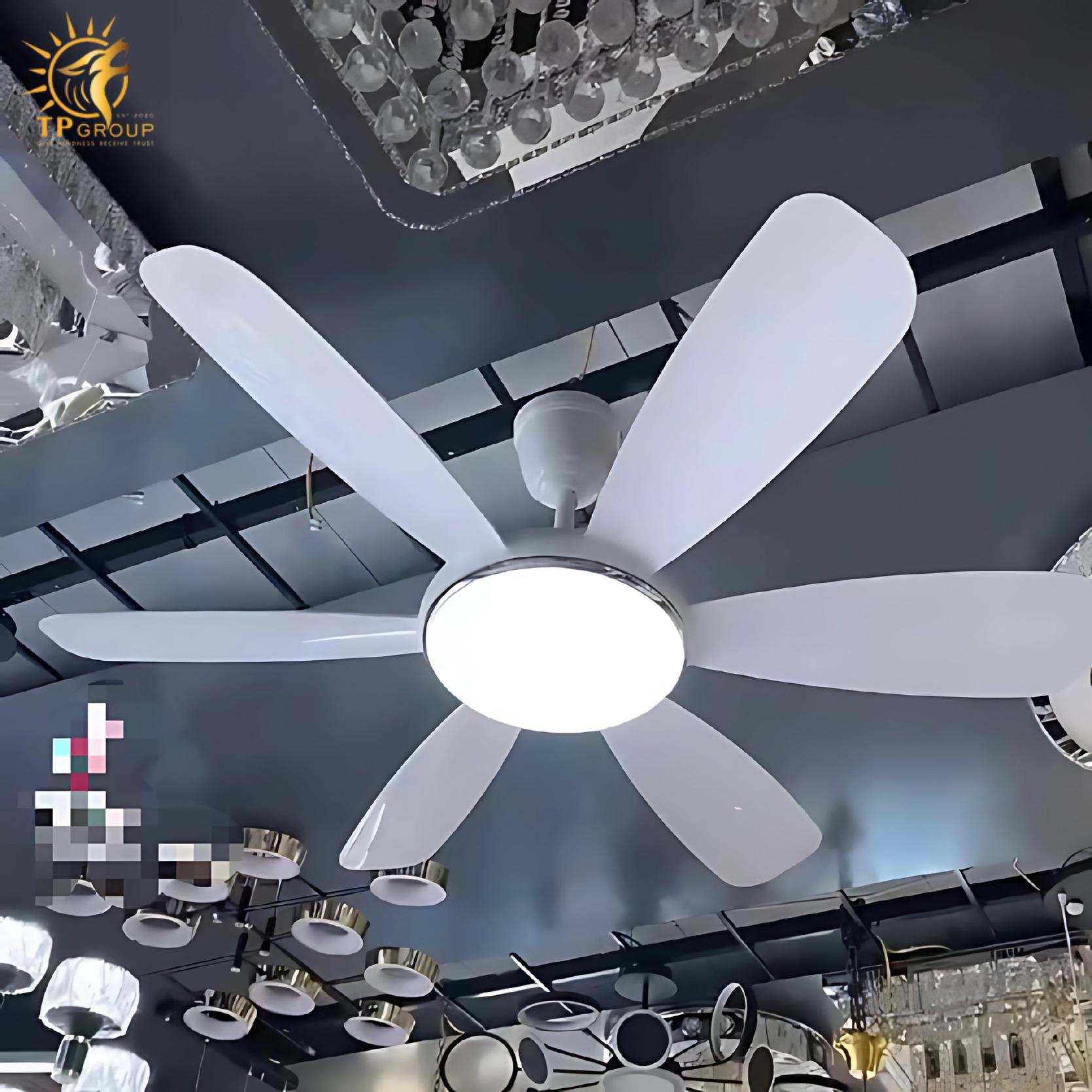 Quạt trần mini DCT FAN 213 3 Quạt trần DCT FAN 213