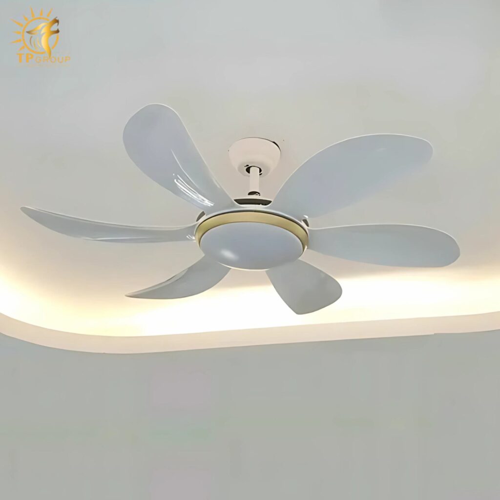 Quạt trần DCT FAN 219 10 Quạt trần DCT FAN 219