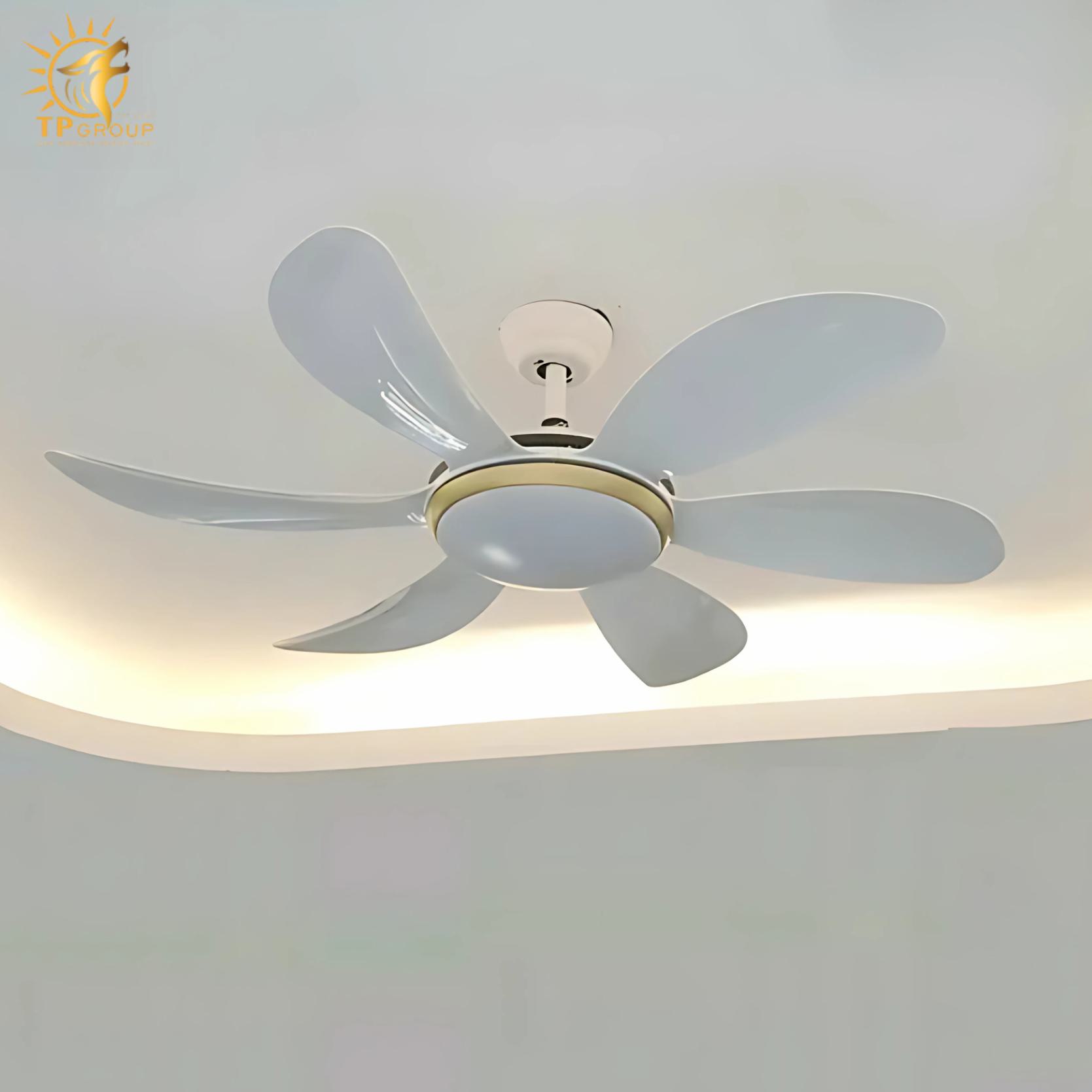 Quạt trần DCT FAN 219 2 Quạt trần DCT FAN 219