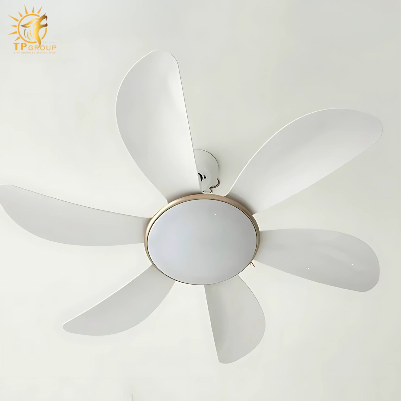 Quạt trần DCT FAN 219 3 Quạt trần DCT FAN 219