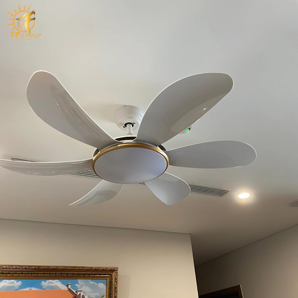 Quạt trần DCT FAN 219 12 Quạt trần DCT FAN 219
