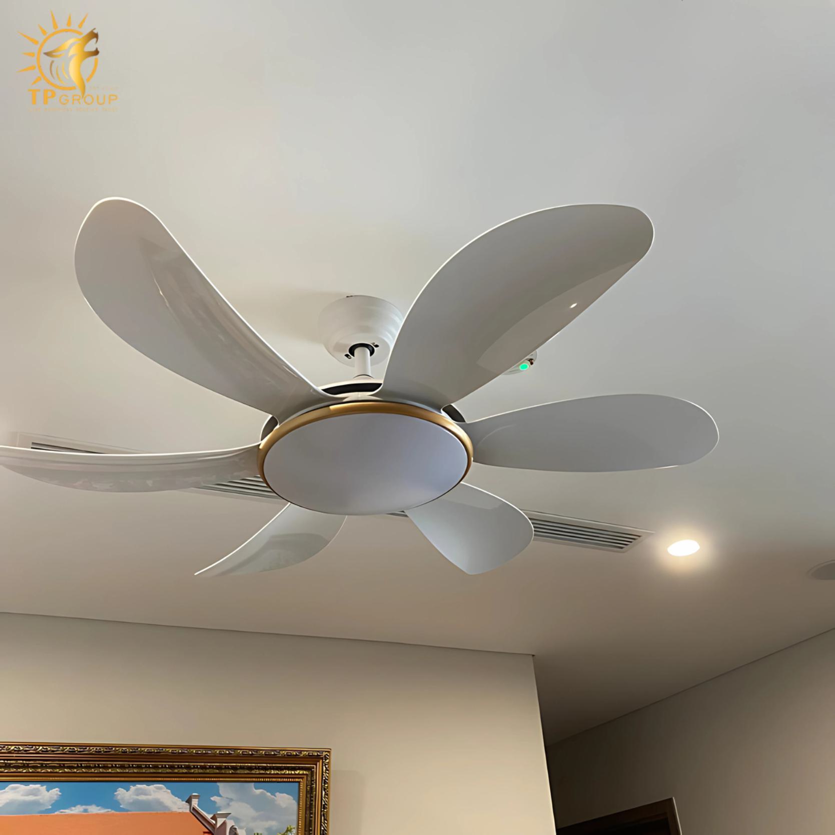 Quạt trần DCT FAN 219 5 Quạt trần DCT FAN 219