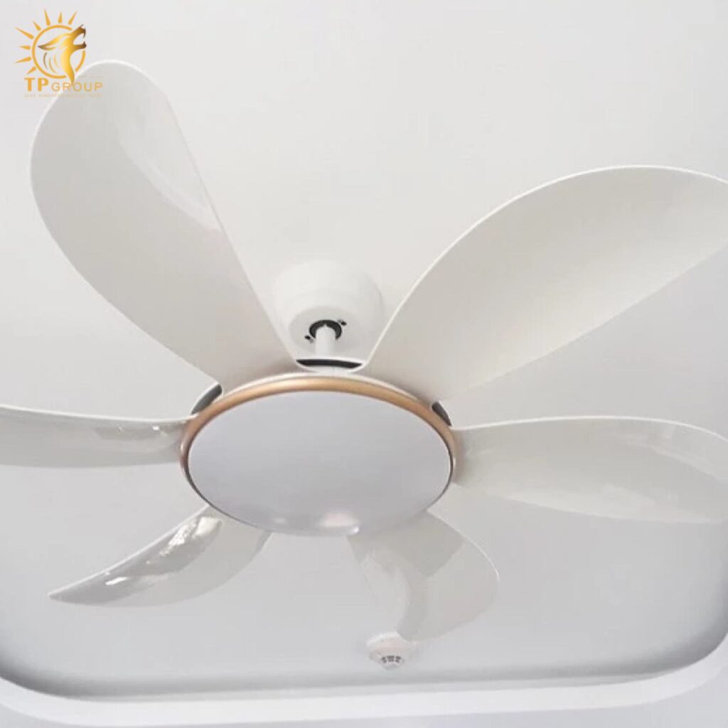 Quạt trần DCT FAN 219 14 Quạt trần DCT FAN 219