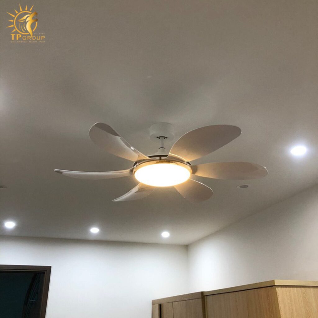 Quạt trần DCT FAN 219 16 Quạt trần DCT FAN 219