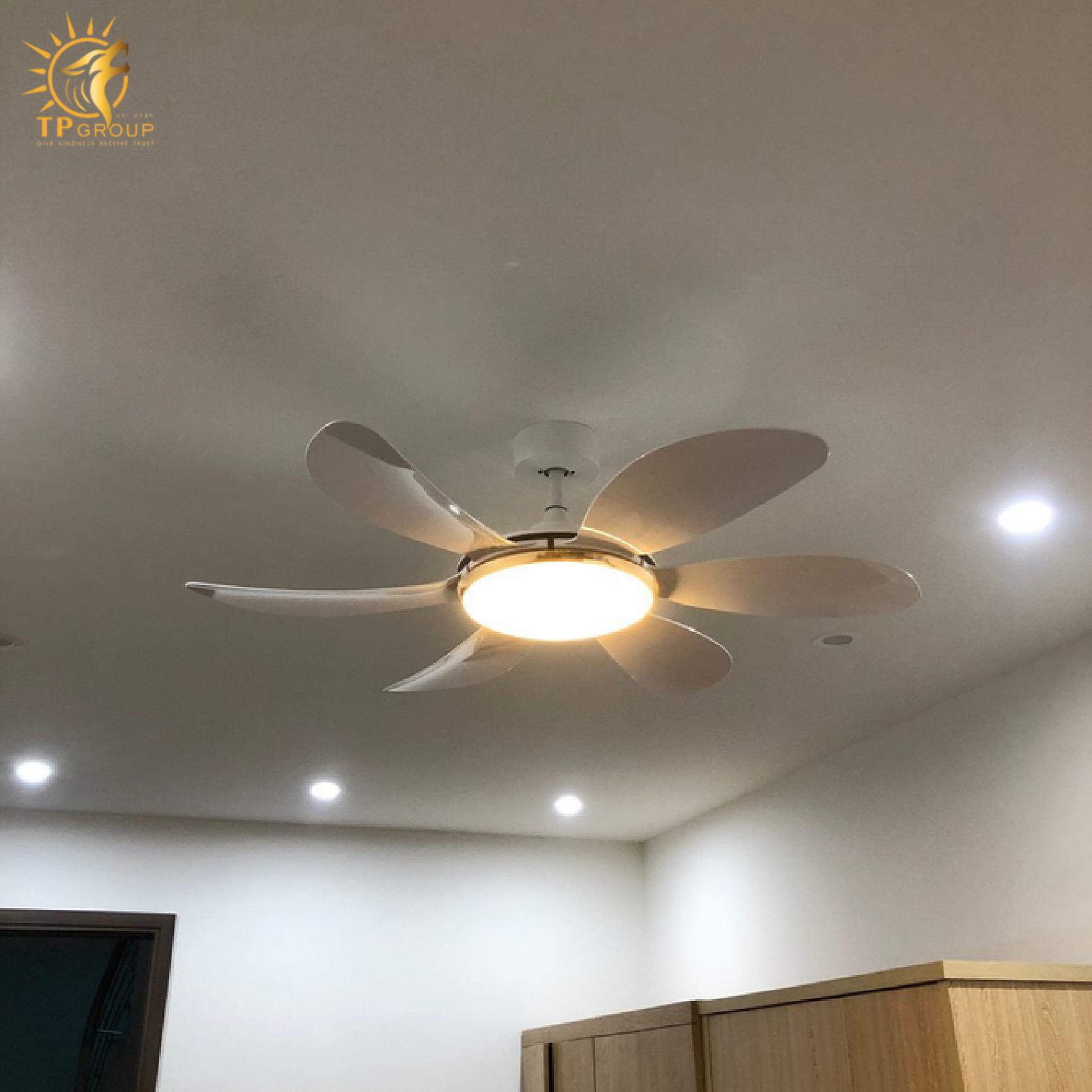 Quạt trần DCT FAN 219 9 Quạt trần DCT FAN 219