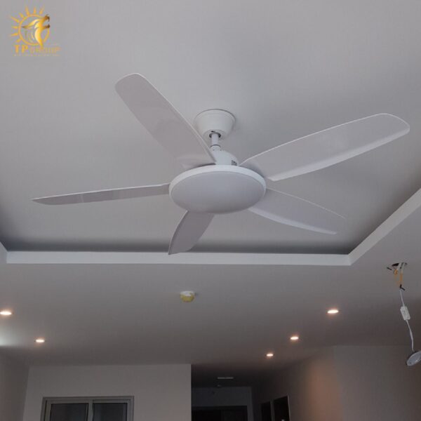 Quạt trần DCT FAN 810
