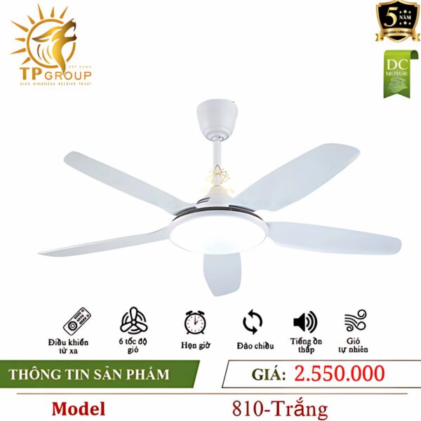 Quạt trần DCT FAN 810
