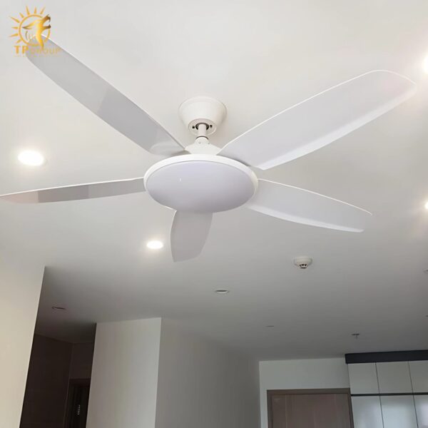 Quạt trần DCT FAN 810