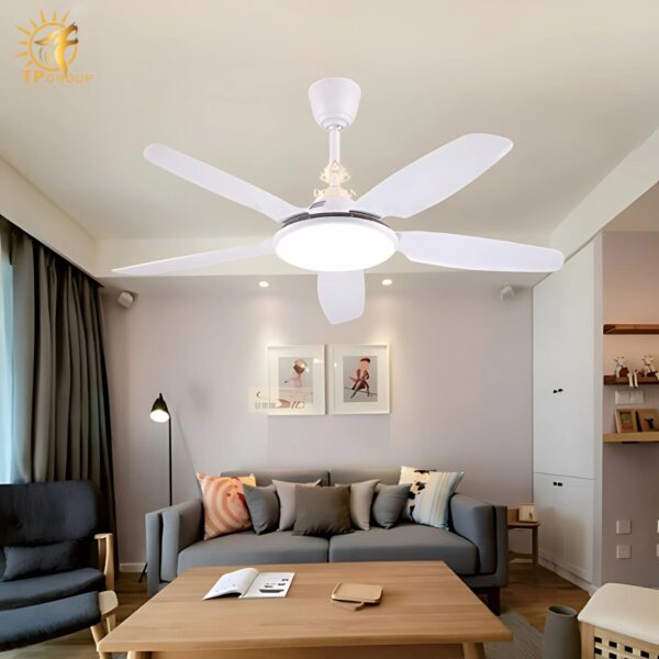 Quạt trần DCT FAN 810