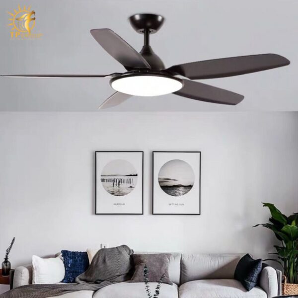 Quạt trần DCT FAN 810