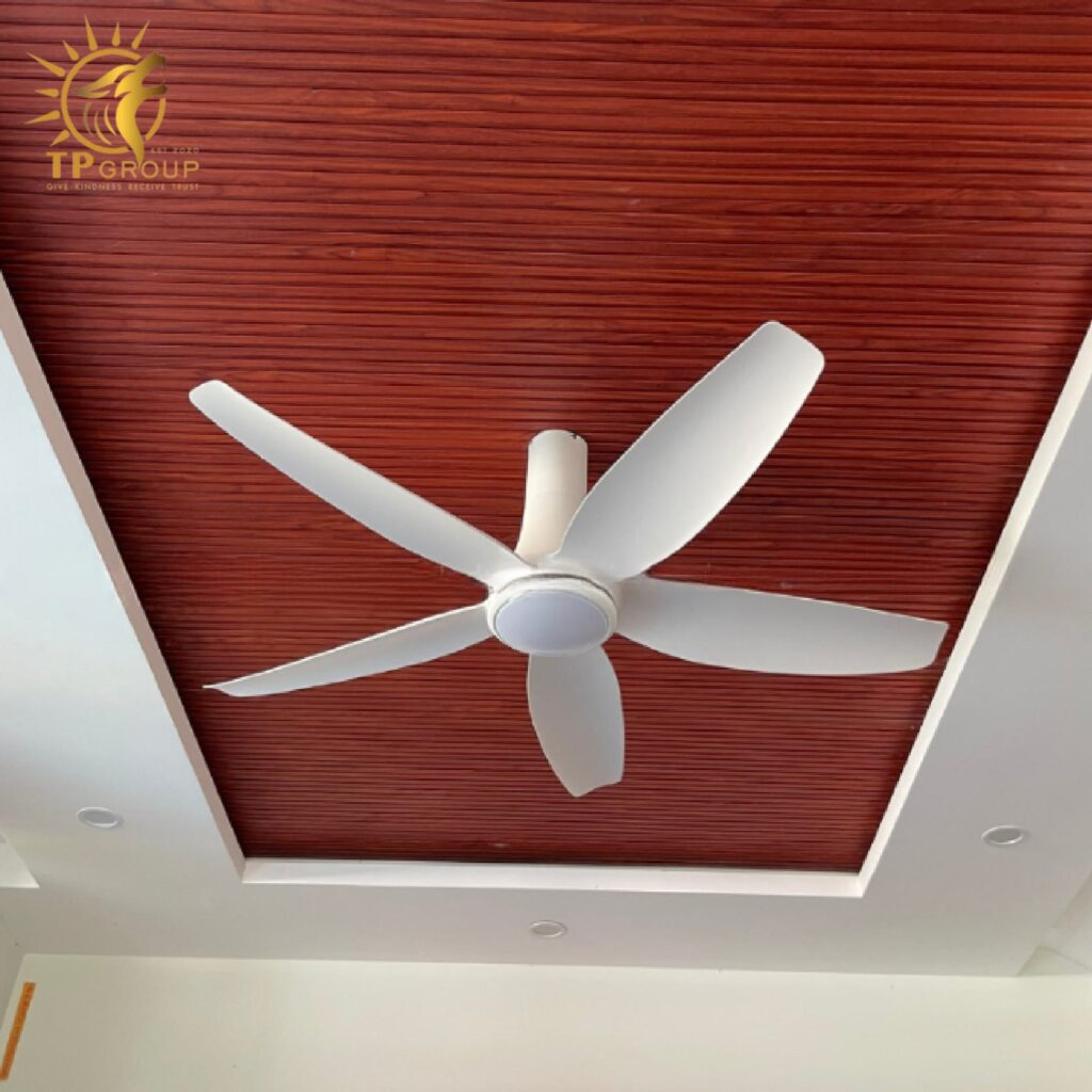 Quạt trần DCT Fan 301 trắng 6 Quạt trần DCT Fan 301 trắng