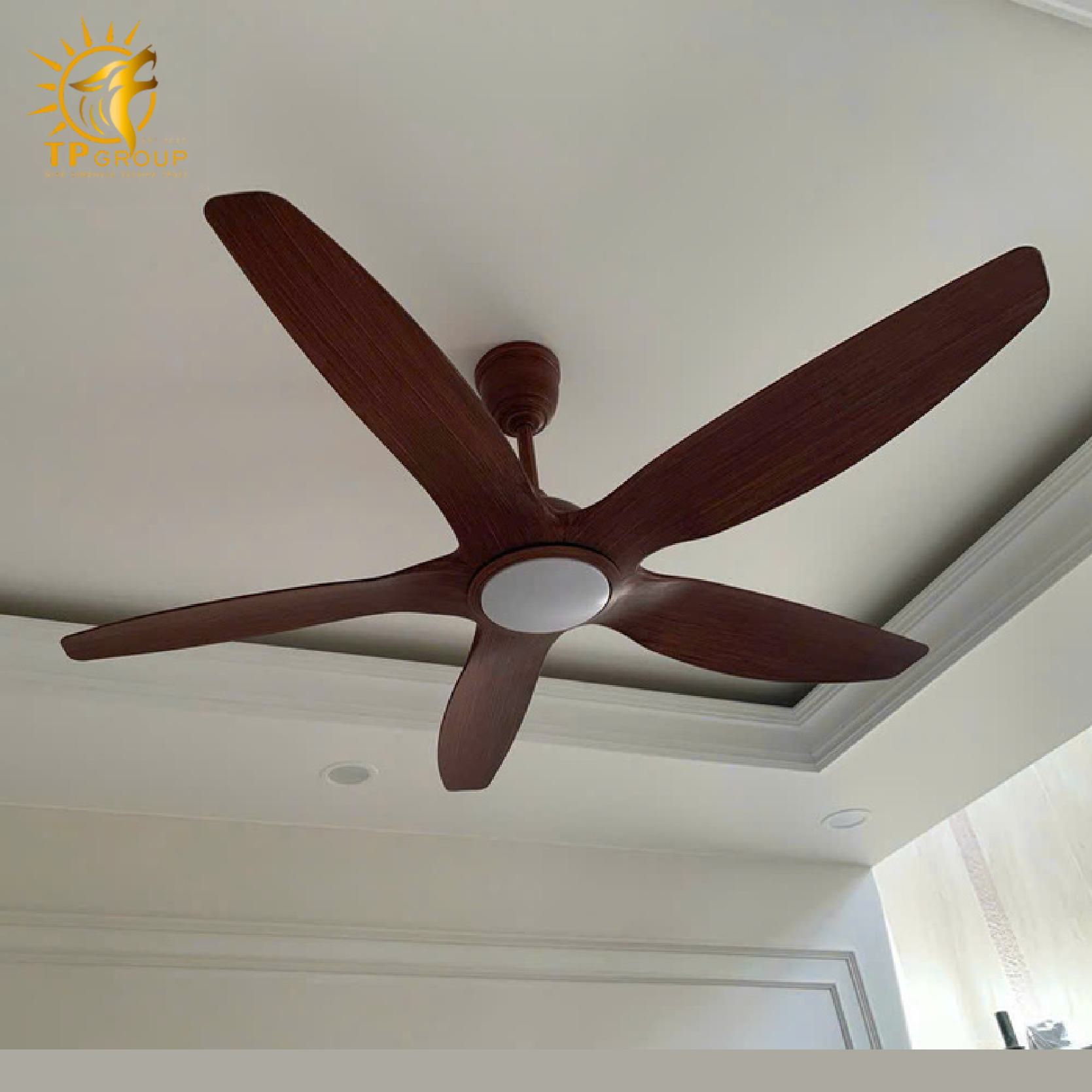 Quạt trần kiểu dáng sang trọng tiết kiệm điện năng DCT Fan 411 16 Quạt trần kiểu dáng sang trọng tiết kiệm điện năng DCT Fan 411
