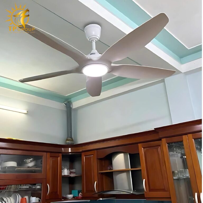 Quạt trần kiểu dáng sang trọng tiết kiệm điện năng DCT Fan 411