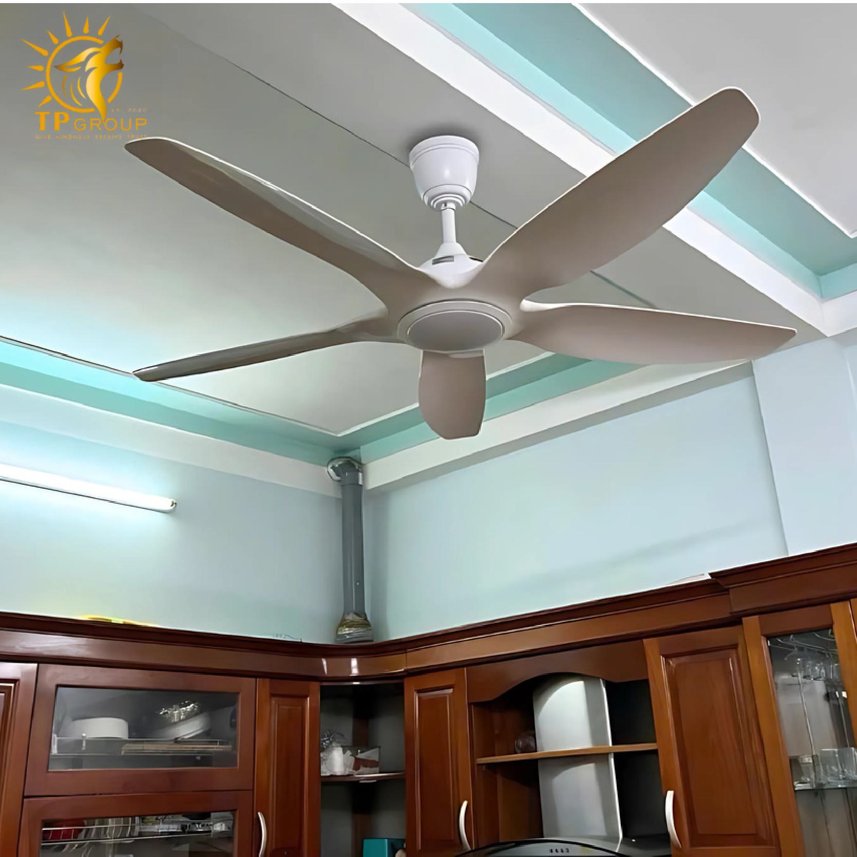 Quạt trần kiểu dáng sang trọng tiết kiệm điện năng DCT Fan 411 11 Quạt trần kiểu dáng sang trọng tiết kiệm điện năng DCT Fan 411