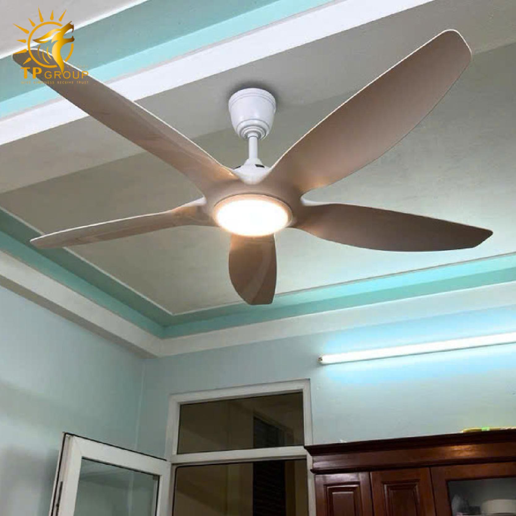 Quạt trần kiểu dáng sang trọng tiết kiệm điện năng DCT Fan 411 10 Quạt trần kiểu dáng sang trọng tiết kiệm điện năng DCT Fan 411
