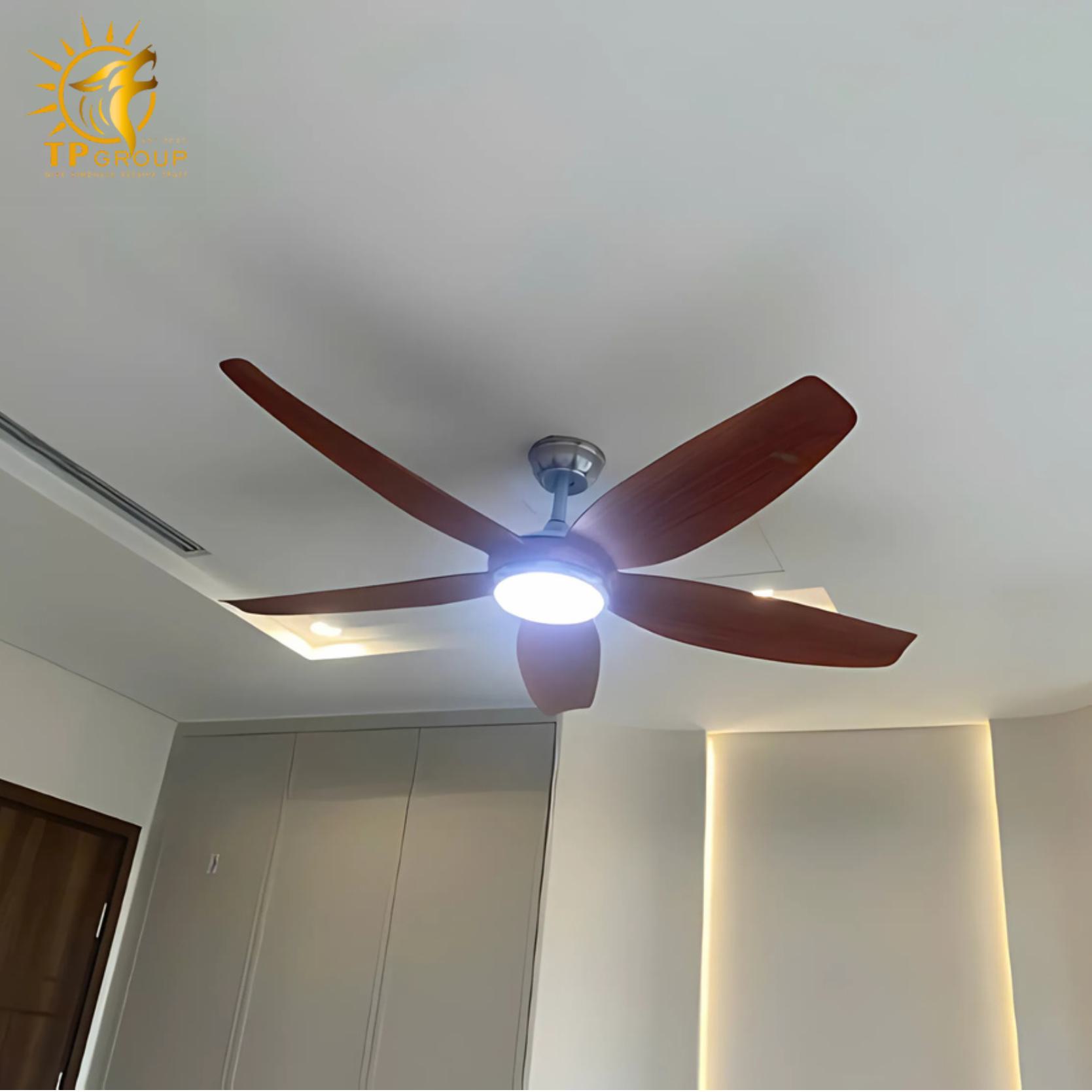 Quạt trần kiểu dáng sang trọng tiết kiệm điện năng DCT Fan 411 9 Quạt trần kiểu dáng sang trọng tiết kiệm điện năng DCT Fan 411