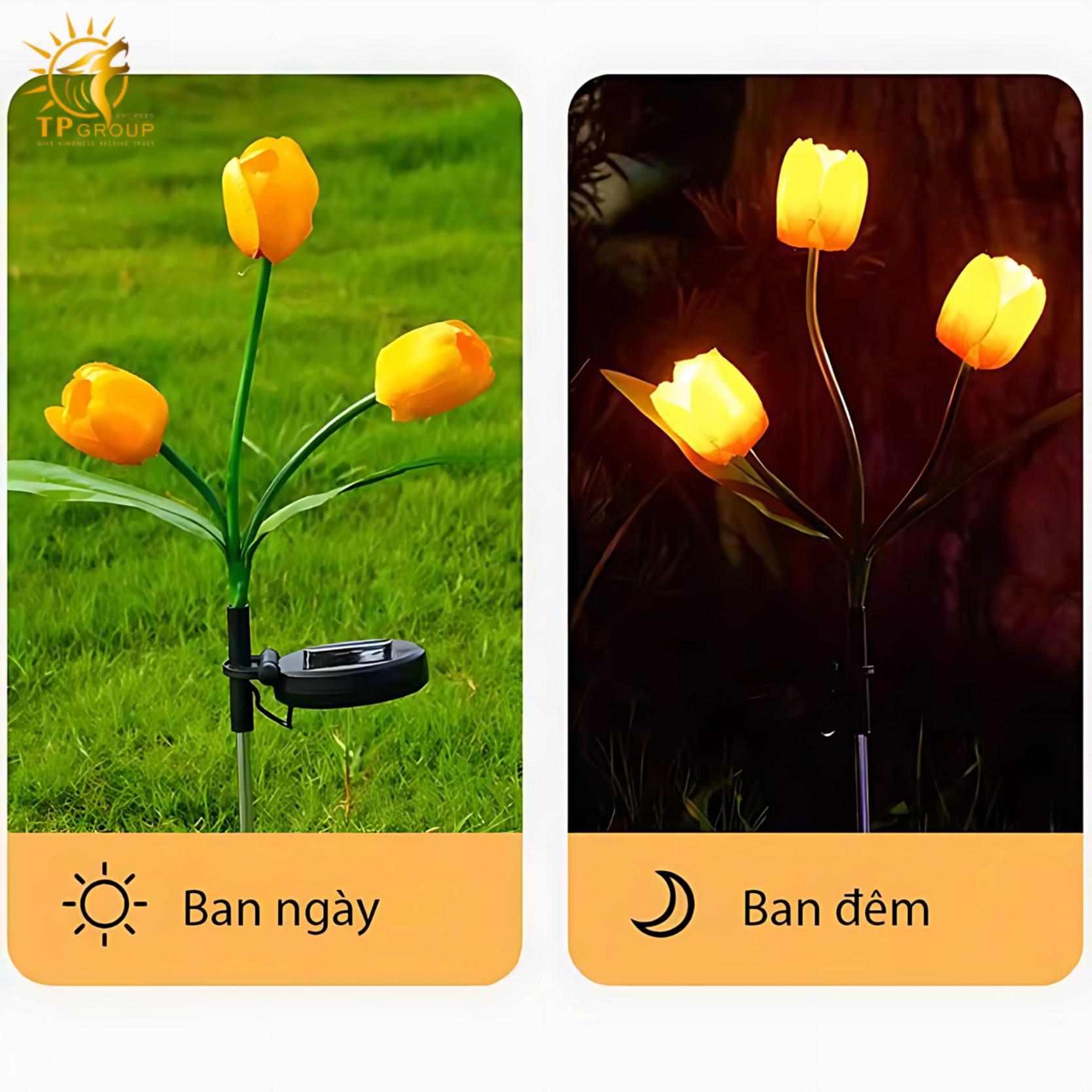 Đèn hoa Tulip cắm cỏ trang trí cảnh quan KE6767 6 Đèn hoa Tulip cắm cỏ trang trí cảnh quan KE6767