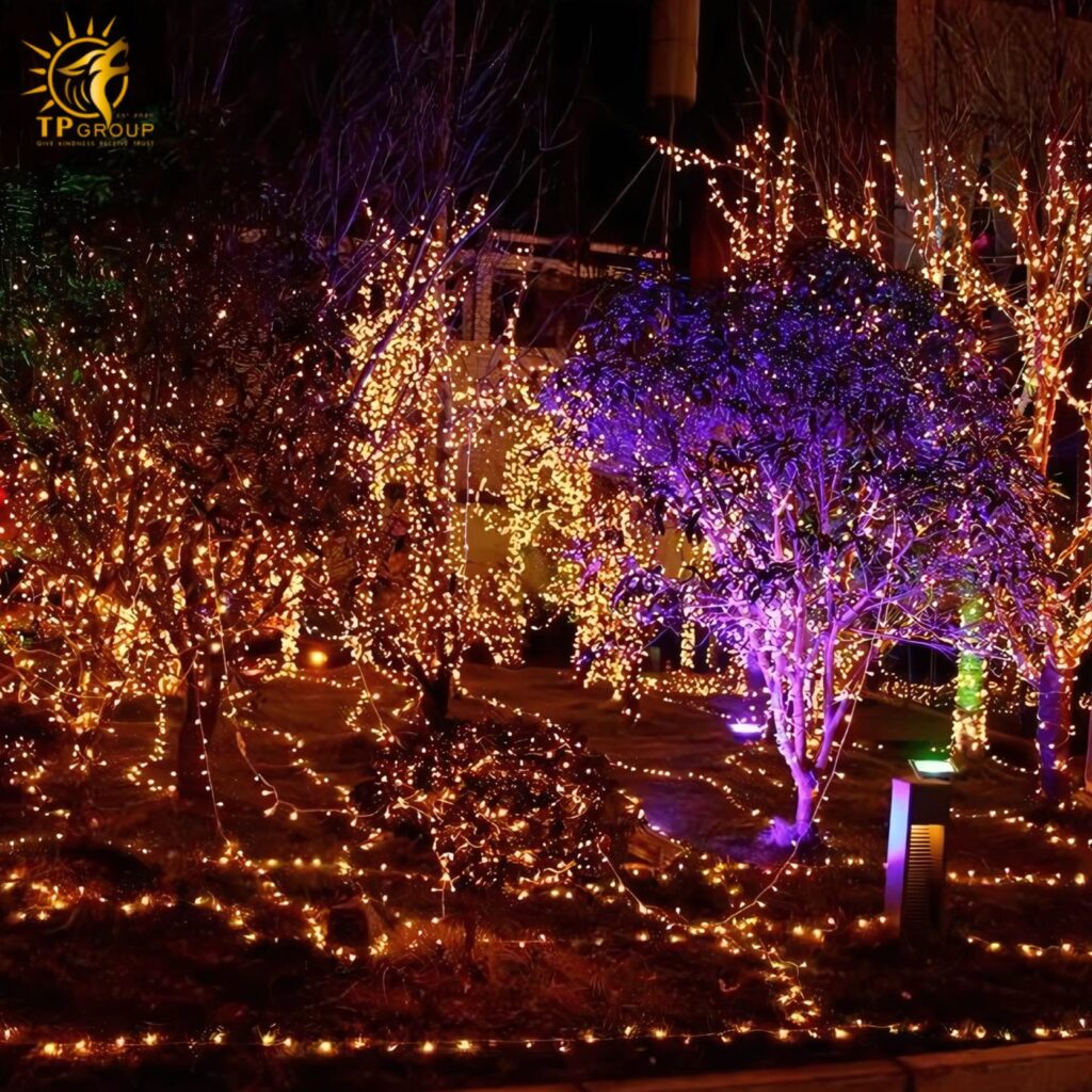 Led chớp dây trong 100m 13 Led chớp dây trong 100m