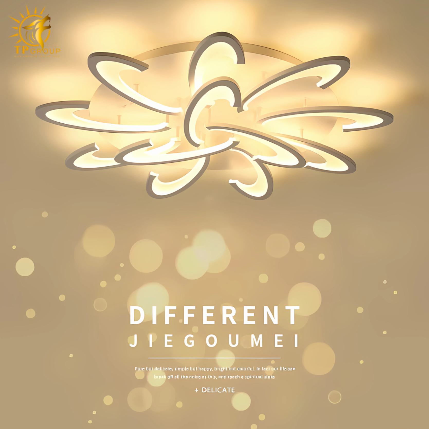 Đèn LED ốp trần TPG-6020/9+3 2 Đèn LED ốp trần TPG-6020/9+3