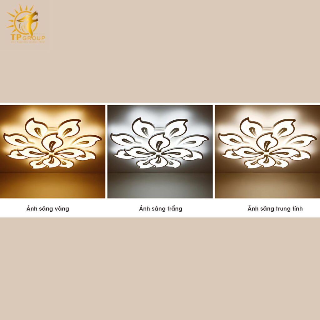 Đèn LED ốp trần TPG-MT3606/12 cánh 13 Đèn LED ốp trần TPG-MT3606/12 cánh