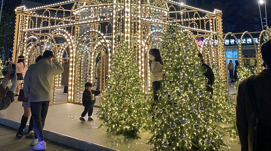 TP Group thi công cây thông ánh sáng và decor Noel