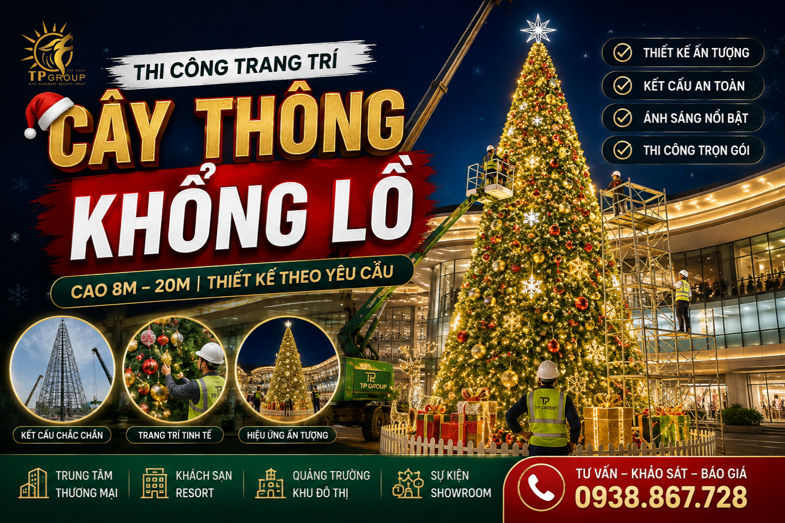 cay thong khong lo 8m 20m tp group 1